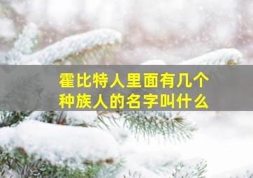 霍比特人里面有几个种族人的名字叫什么