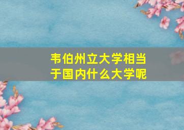 韦伯州立大学相当于国内什么大学呢