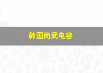 韩国尚武电容