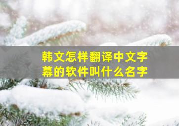 韩文怎样翻译中文字幕的软件叫什么名字