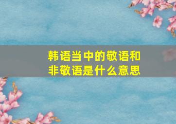 韩语当中的敬语和非敬语是什么意思