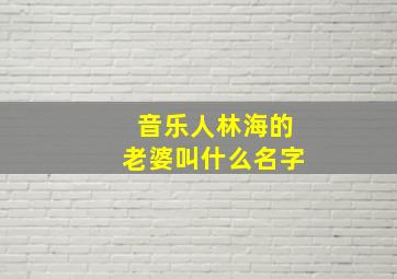 音乐人林海的老婆叫什么名字