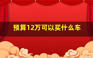 预算12万可以买什么车