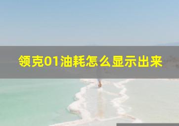 领克01油耗怎么显示出来