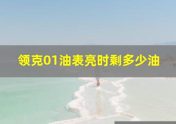 领克01油表亮时剩多少油