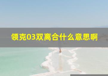 领克03双离合什么意思啊