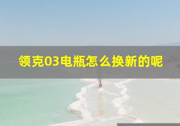 领克03电瓶怎么换新的呢