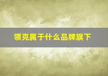 领克属于什么品牌旗下