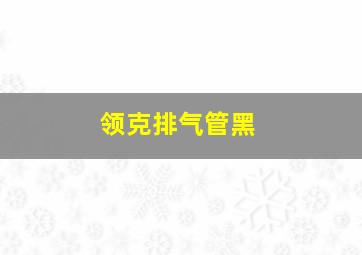 领克排气管黑