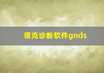 领克诊断软件gnds