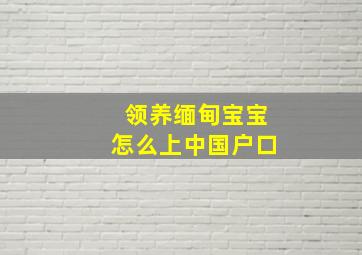 领养缅甸宝宝怎么上中国户口