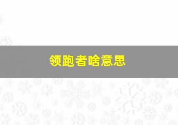 领跑者啥意思