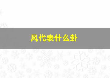 风代表什么卦