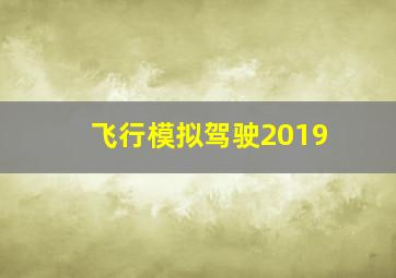 飞行模拟驾驶2019