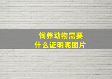 饲养动物需要什么证明呢图片