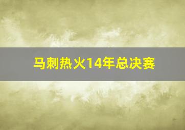 马刺热火14年总决赛