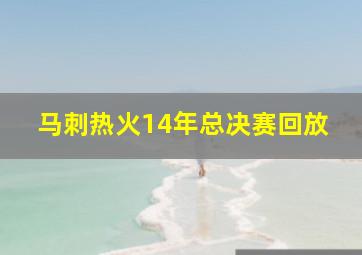 马刺热火14年总决赛回放