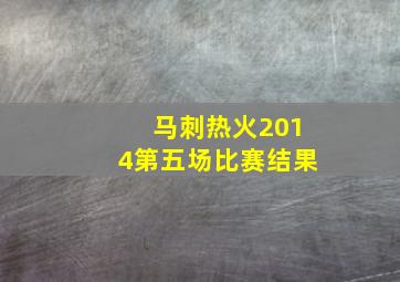 马刺热火2014第五场比赛结果