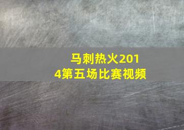 马刺热火2014第五场比赛视频