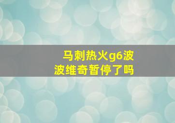 马刺热火g6波波维奇暂停了吗