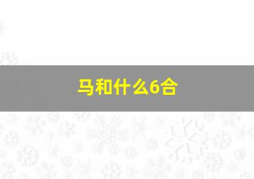 马和什么6合