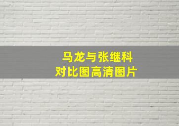 马龙与张继科对比图高清图片