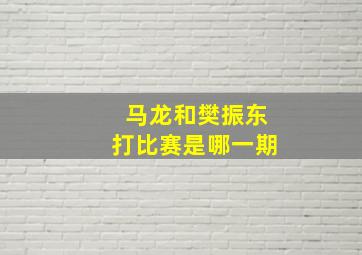 马龙和樊振东打比赛是哪一期