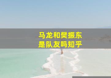 马龙和樊振东是队友吗知乎