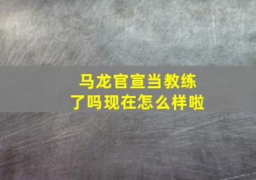 马龙官宣当教练了吗现在怎么样啦