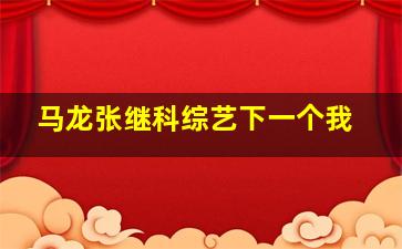 马龙张继科综艺下一个我