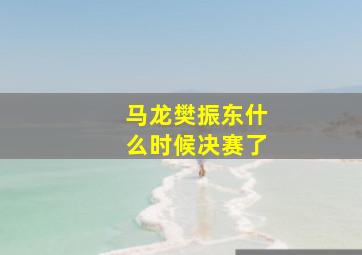 马龙樊振东什么时候决赛了