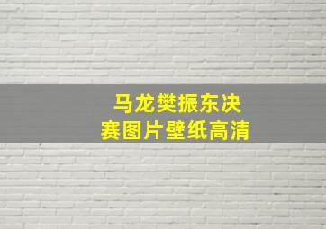 马龙樊振东决赛图片壁纸高清