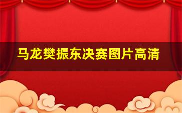 马龙樊振东决赛图片高清