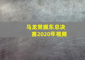 马龙樊振东总决赛2020年视频