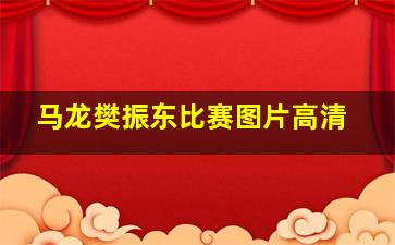 马龙樊振东比赛图片高清