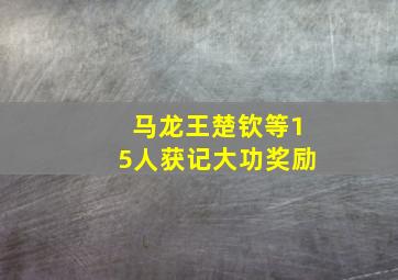 马龙王楚钦等15人获记大功奖励