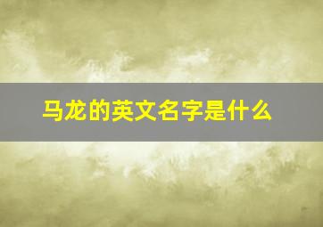 马龙的英文名字是什么