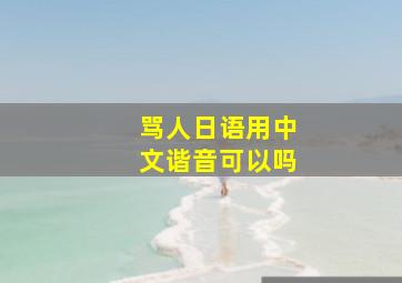 骂人日语用中文谐音可以吗