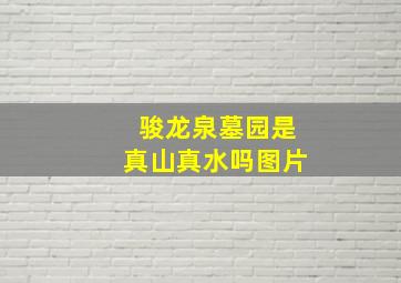 骏龙泉墓园是真山真水吗图片