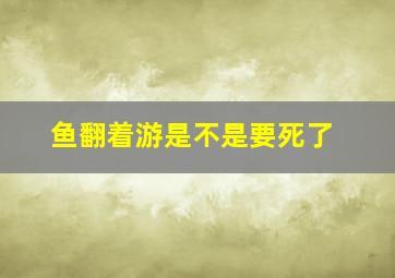 鱼翻着游是不是要死了