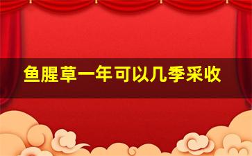 鱼腥草一年可以几季采收