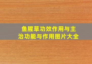 鱼腥草功效作用与主治功能与作用图片大全