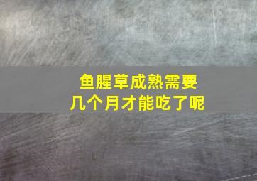 鱼腥草成熟需要几个月才能吃了呢