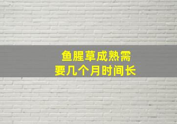 鱼腥草成熟需要几个月时间长