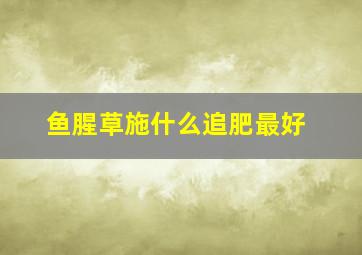 鱼腥草施什么追肥最好