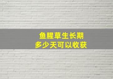 鱼腥草生长期多少天可以收获