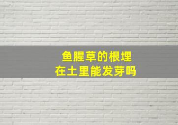 鱼腥草的根埋在土里能发芽吗