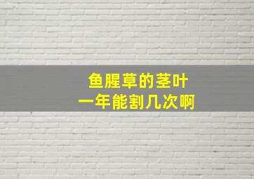 鱼腥草的茎叶一年能割几次啊