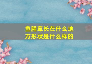 鱼腥草长在什么地方形状是什么样的