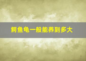 鳄鱼龟一般能养到多大